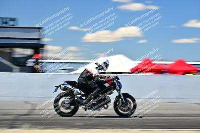 media/Mar-25-2024-Moto Forza (Mon) [[8d4319bd68]]/4-Novice Group/Session 4 Front Straight Speed Pans/